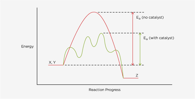 Catalysis